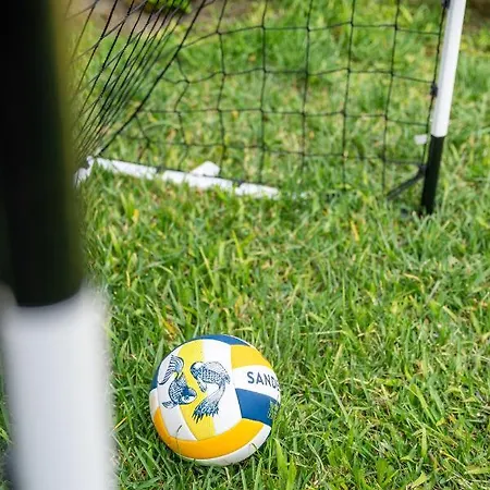 Premium * 波尔图